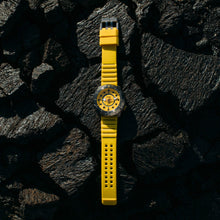 Load image into Gallery viewer, *NASA Voyager Automatic 1000m Diver IO